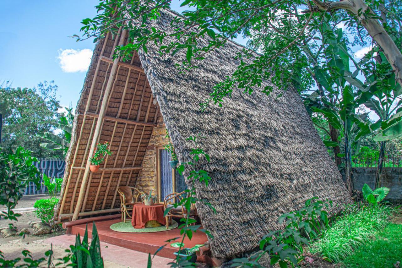 Charming Eco-Homestay Near Kilimanjaro International Airport アルーシャ エクステリア 写真