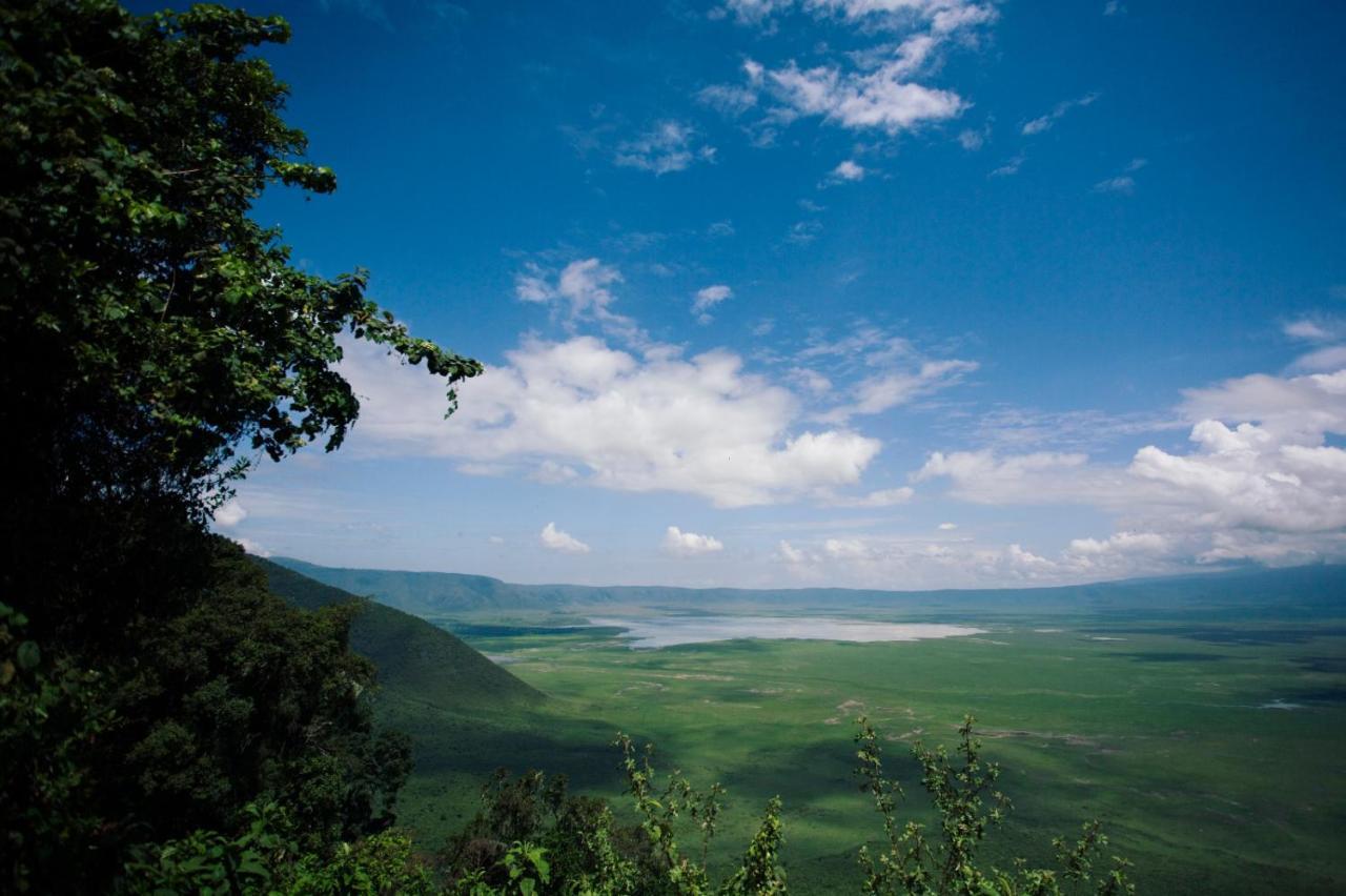 Charming Eco-Homestay Near Kilimanjaro International Airport アルーシャ エクステリア 写真