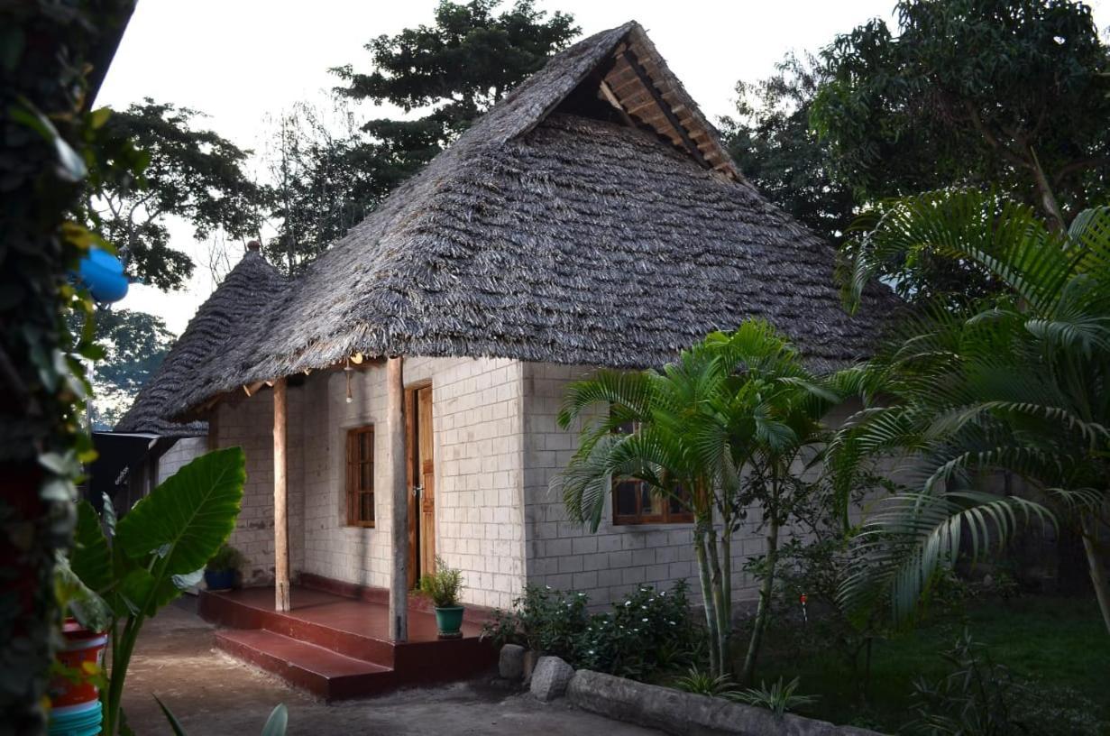 Charming Eco-Homestay Near Kilimanjaro International Airport アルーシャ エクステリア 写真