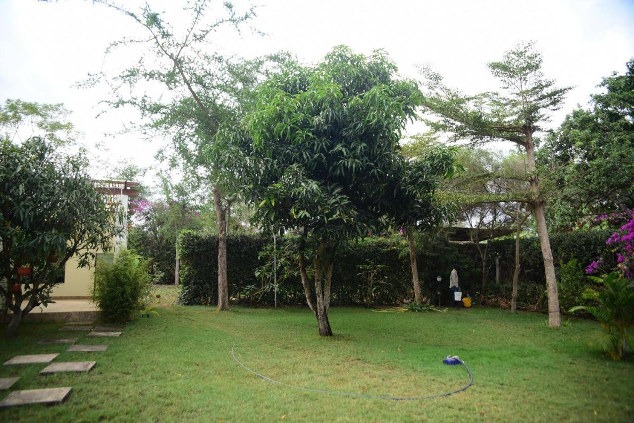 Charming Eco-Homestay Near Kilimanjaro International Airport アルーシャ エクステリア 写真